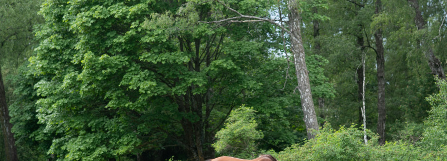 Dirt McGirt Cover Image