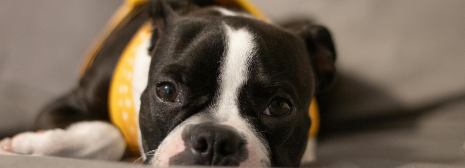 Coco The Queen Cover Image